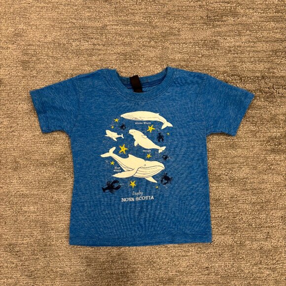 Toddler T-Shirts - Size 4T - Short Sleeves - Dinosaurs - Mickey Mouse - Trucks - Picture 15 of 16